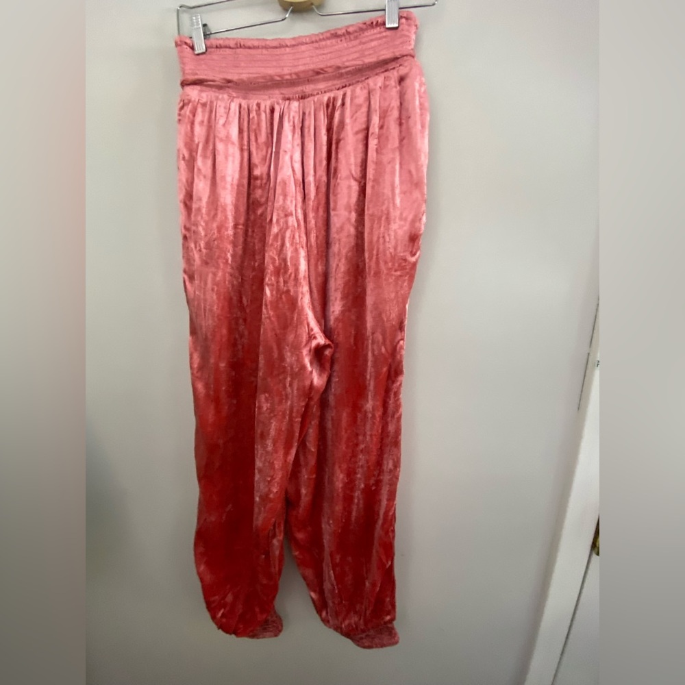 Anthropologie Rosie Embroidered Velvet Joggers - Picture 11 of 13